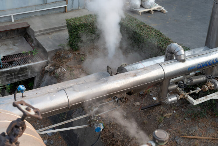 Coromandel International To Face Action For Ammonia Leakage