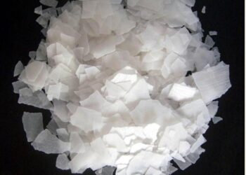 DCM Shriram Commissions Caustic Soda Project In Gujarat