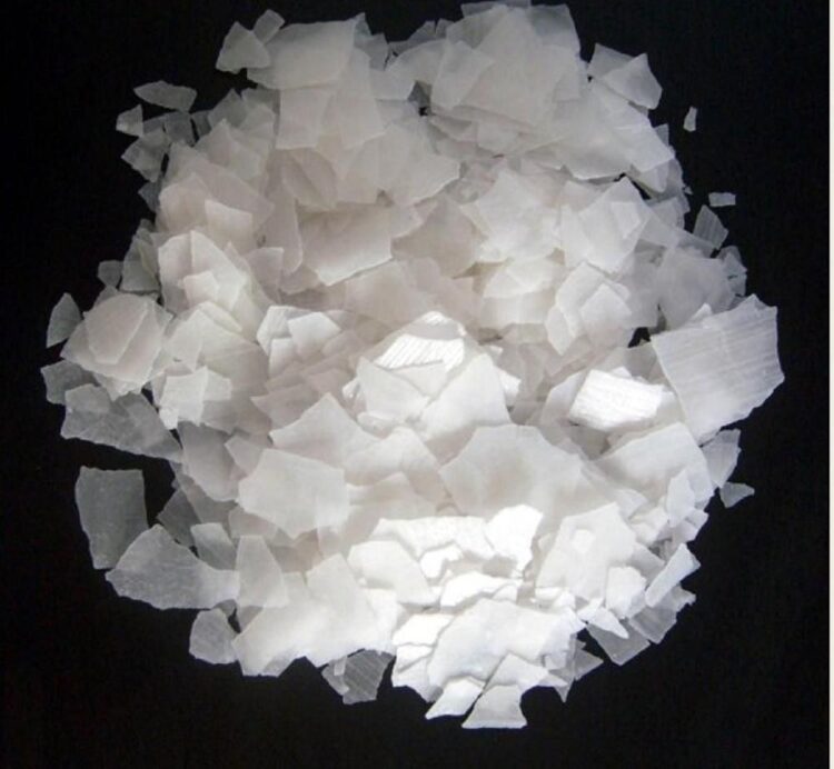 DCM Shriram Commissions Caustic Soda Project In Gujarat