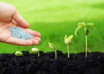 Coromandel Unlocks Nano-Fertilizer Plant