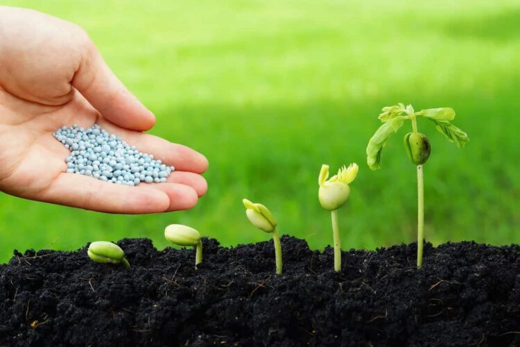 Coromandel Unlocks Nano-Fertilizer Plant