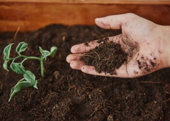 PepsiCo Europe, Yara sign Deal