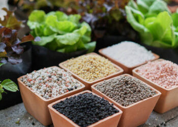 CF Industries and Poet Collaborate For Ammonia Fertilizer