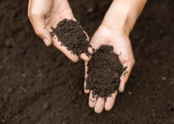 IBA Calls for Fermented Organic Manure