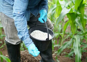 Solugen Global Solves Environmental Concerns