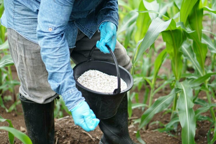 Solugen Global Solves Environmental Concerns