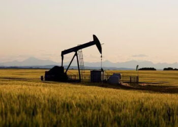 Oil drops for second immediately day on high US crude inventories; Israel-Iran struggle curbs losses; Brent down 2% to $75