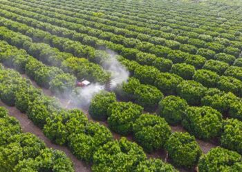 US targets to reinstate chlorpyrifos insecticide ban