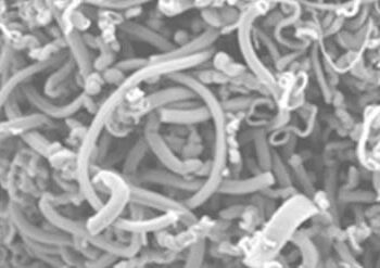 Carbon dioxide converted into carbon nanotube-based 3D printer ink