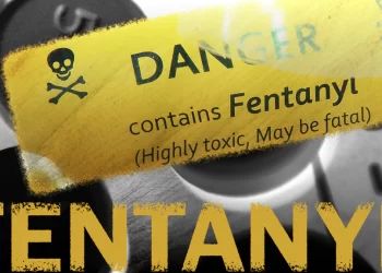 2 Surat cos charged within the US for fentanyl precursor smuggling