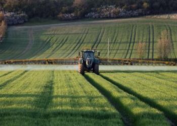 How a herbicide illustrates the many ways chemicals are placed to the test