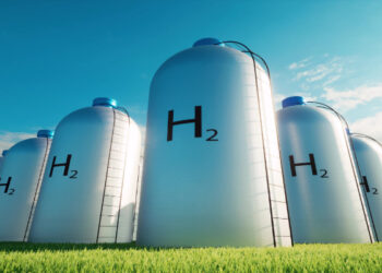 Kandla Port commissions 1 MW inexperienced hydrogen plant