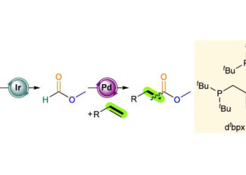 Evonik and Research Partners Turn CO2 Into Feedstock for Industrial Chemicals