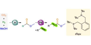 Evonik and Research Partners Turn CO2 Into Feedstock for Industrial Chemicals