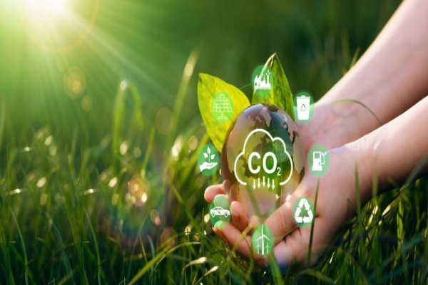 Solvay releases IUCN’s biodiversity pilot scheme at its soda ash production site in France