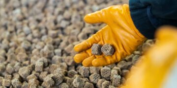 BASF launches world’s first industrial-scale 3D-printed catalyst plant in Ludwigshafen