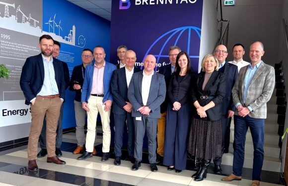 Brenntag and BASF strike deal to expand fuel additives across Europe