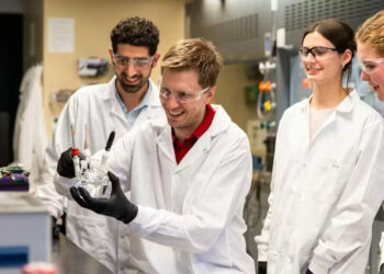 Iron Catalyst Drives Sustainable Ammonia Manufacturing from Nitrate