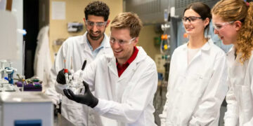 Iron Catalyst Drives Sustainable Ammonia Manufacturing from Nitrate