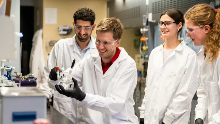 Iron Catalyst Drives Sustainable Ammonia Manufacturing from Nitrate