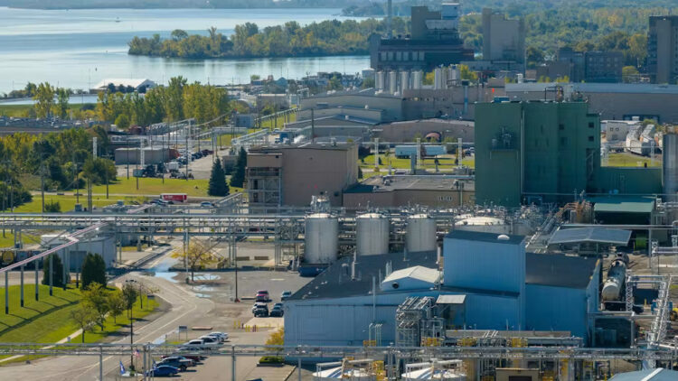BASF Approved For Detroit River Pollution Control Project At Michigan Chemical Site